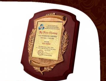 KỶ NIỆM CHƯƠNG ĐỒNG TT12